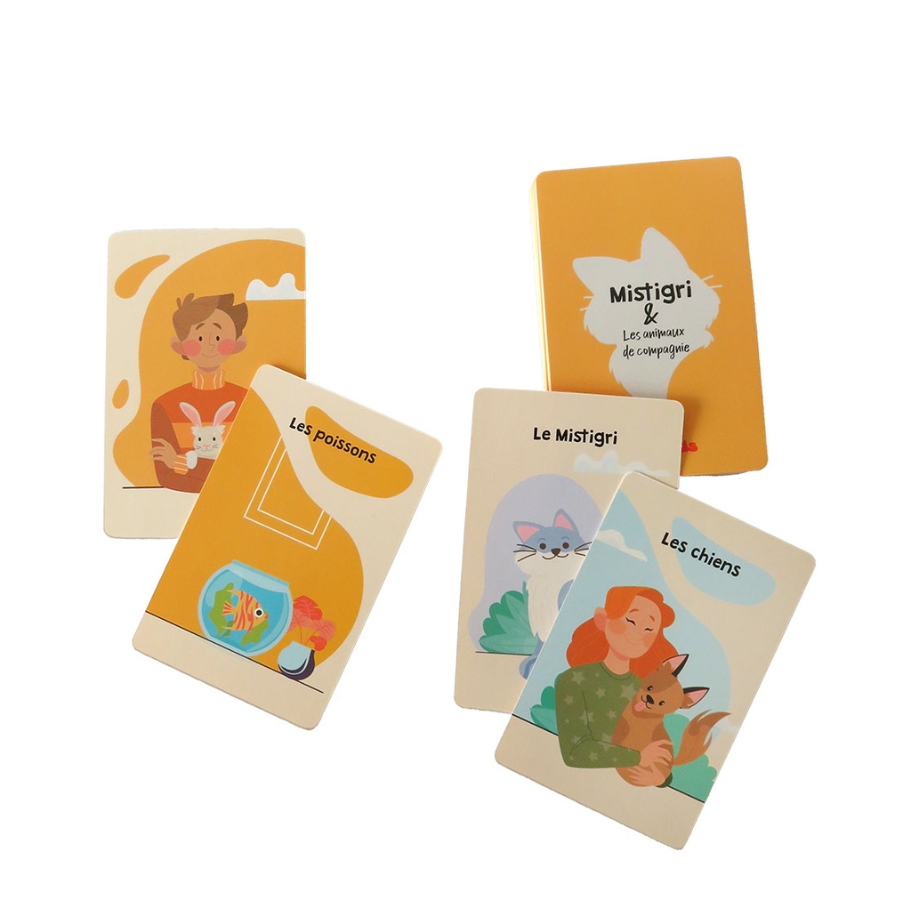 Jeu de cartes - Mistigri nouvelle version