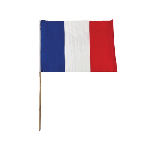 [113311] Drapeau 45 x 30 cm avec hampe en bois France